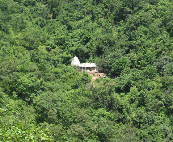 Ahobilam Tour